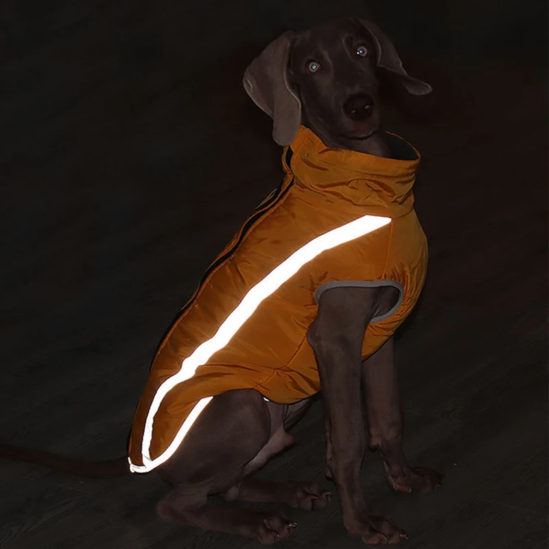 Chaqueta reflectante impermeable invierno para perro grande Weimaraner - imagen 3