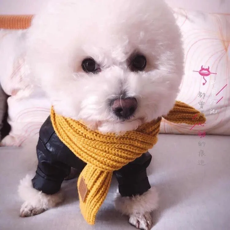 Ins-bufanda de punto de Navidad para perros, accesorios cálidos de invierno para cachorros y gatos - imagen 3