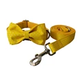 Bow Collar Leash Set