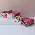 Dog Collar Leash Set