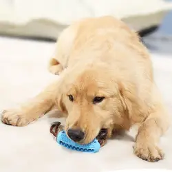 Pelota dental para perros – Juguete masticable de goma