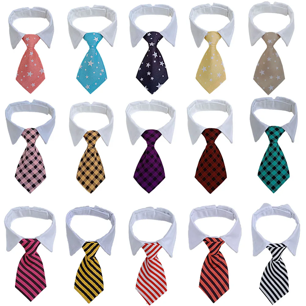 Accesorios aseo vacaciones - Mascota modelo usando productos