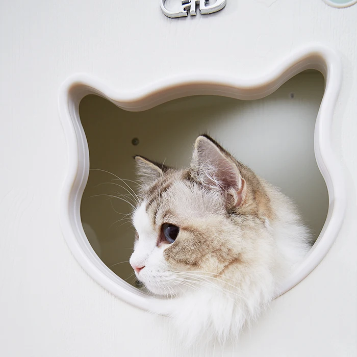 Muebles de madera para gatos montados en la pared, arena para gatos, suministros para gatos, juguete estable para gatos - imagen 4