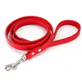 Red Dog Leash