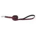 Red Plaid Leash