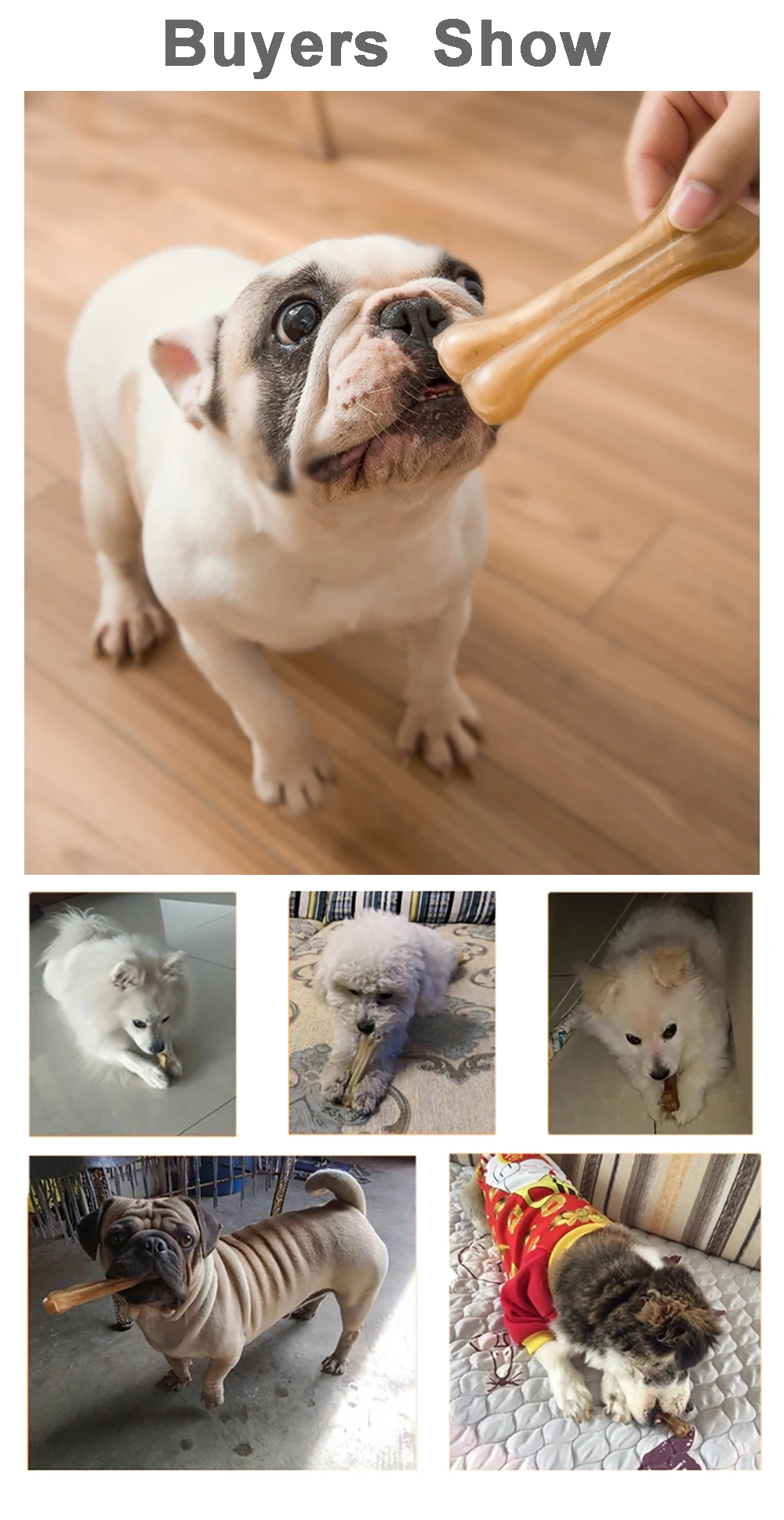 Presentación del cepillo dental para perros en su envase