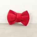 cat bow only