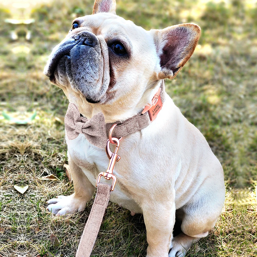Collar correa perros matching - Conjunto coordinado