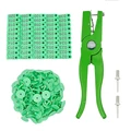 Green with numbers