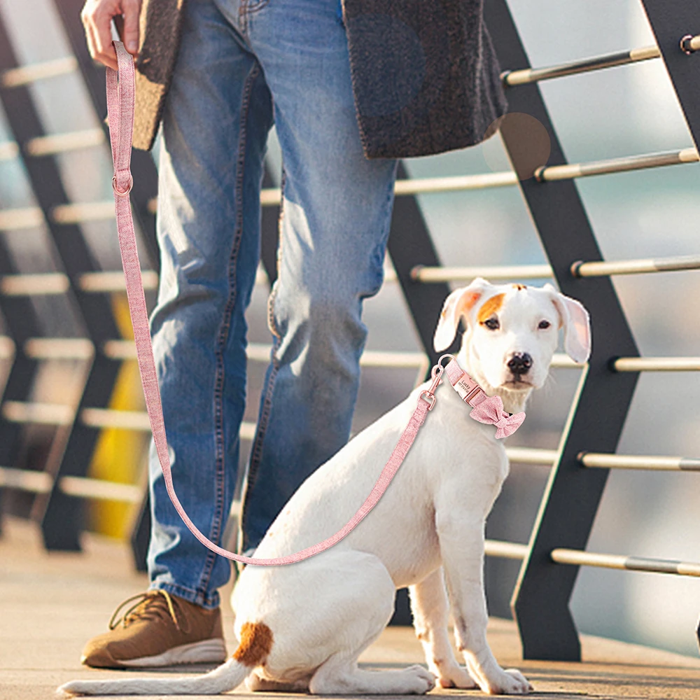 Collar azul perro mediano - Diseño clásico