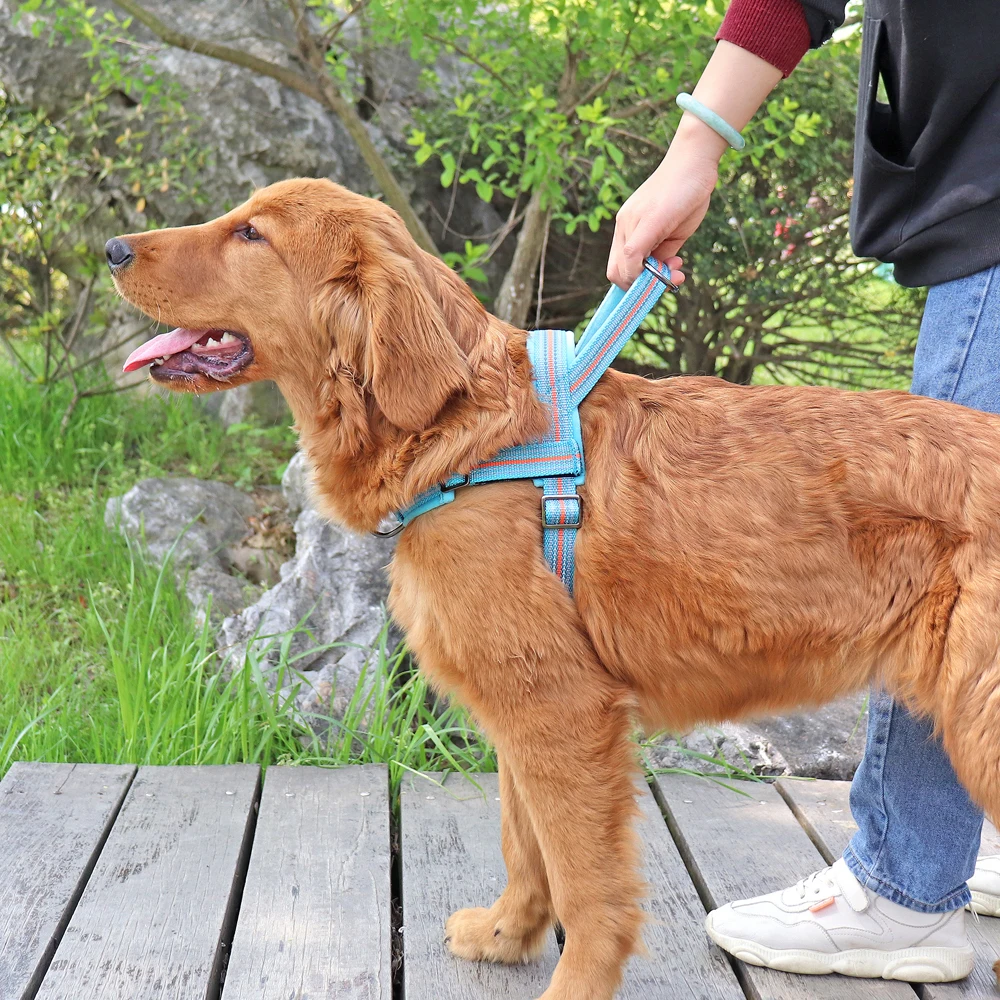Arnés reflectante de nailon para perro, chaleco acolchado suave, sin tirones, cálido, para invierno, para mascotas pequeñas, medianas y grandes - imagen 5