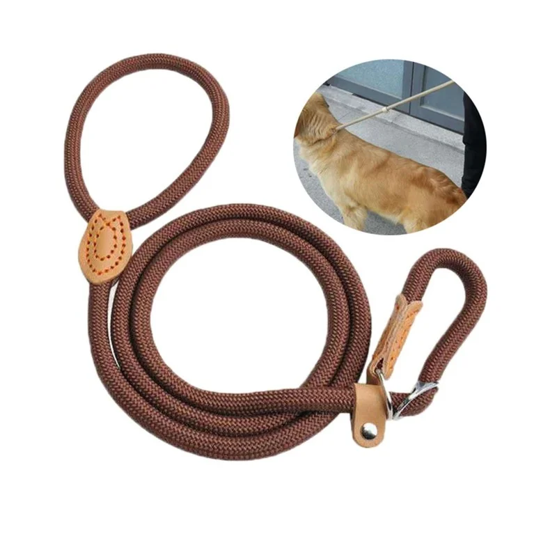 Correa de nailon para perro, arnés ajustable de plomo para perro, correa de cuerda duradera, suministros ligeros para perros, accesorios de entrenamiento para caminar - imagen 3