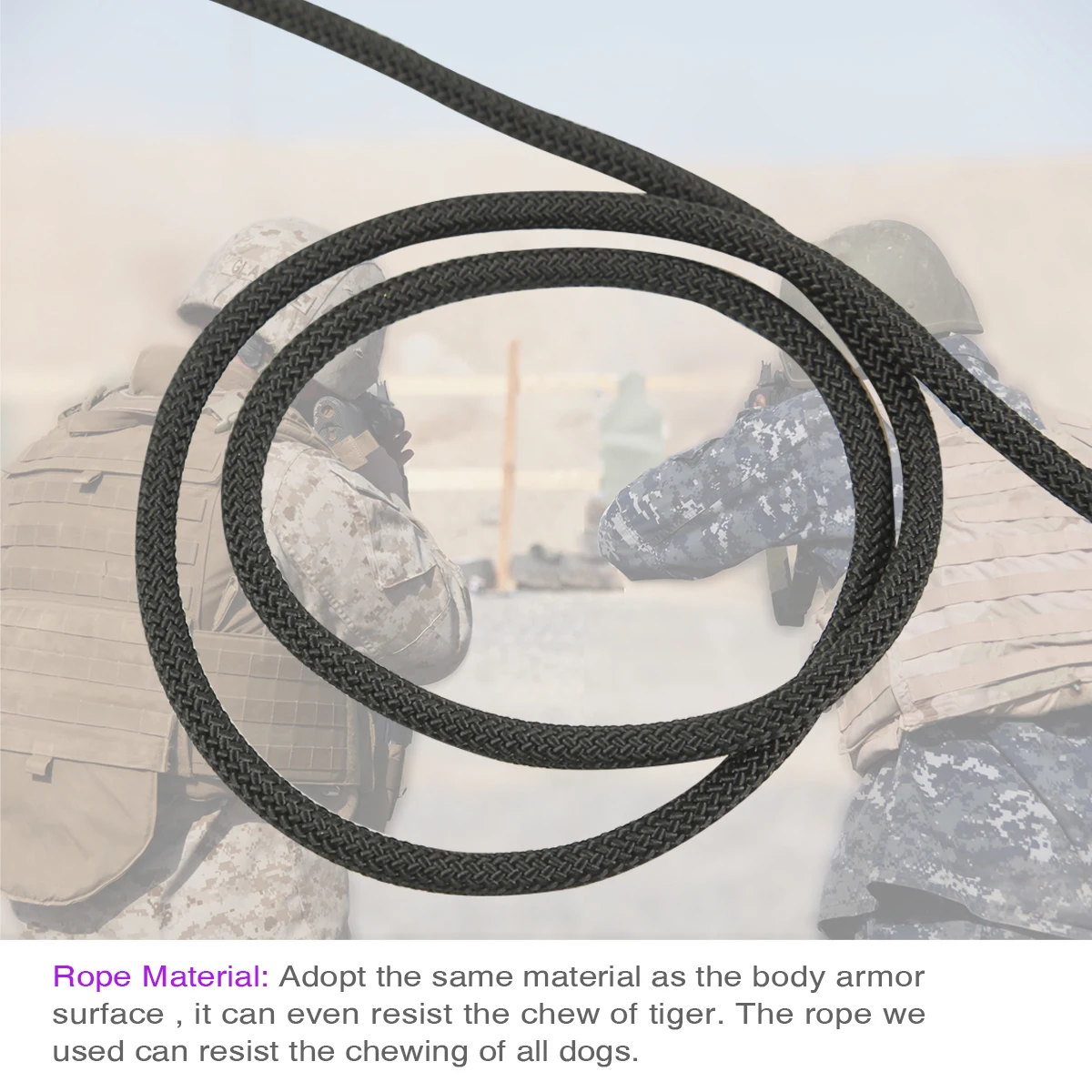 Pelota interactiva con ventosa para perros - imagen 4