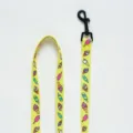 Yellow Dog leash