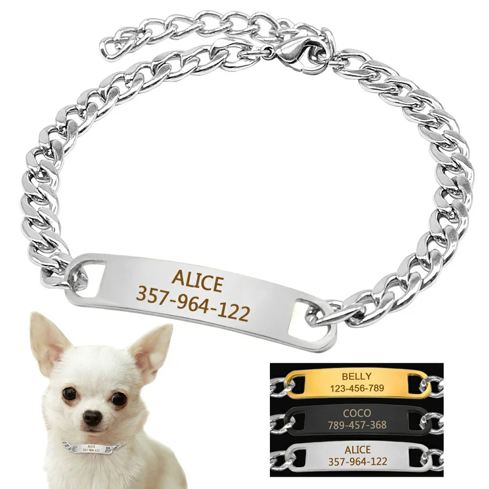 Collar cadena gato personalizado - Vista principal