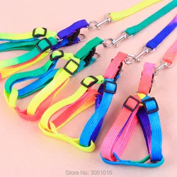Collar con arnés de pecho para perro – Correa suave de nailon color arcoíris