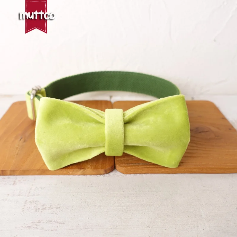 Collar de perro con hebilla de metal grabada MUTTCO, collar con etiqueta de identificación de perro AVOCADO, placa de identificación de 5 tamaños, suministro antipérdida para mascotas UDC110 - imagen 4