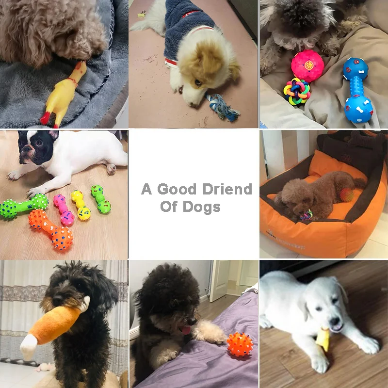 Kit completo de juguetes de peluche para perros junto a un perro