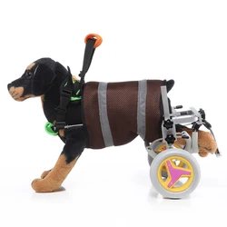 Silla de ruedas para perros – Carrito rehabilitación 2