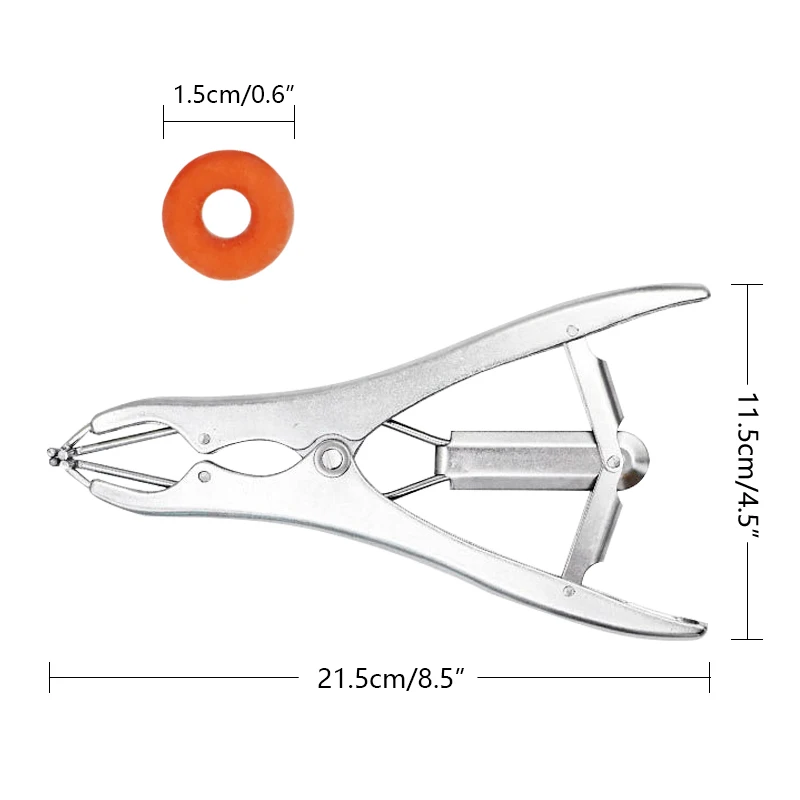 Alicates de castración de animales de acero inoxidable con anillos de expansión, Kit de herramientas DE CORTADOR de cola de ganado para corderos y lechones, 50 Uds. - imagen 3