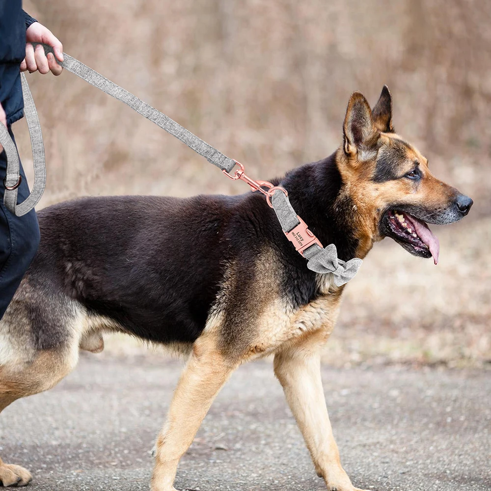 Collar marrón perro grande - Estilo natural