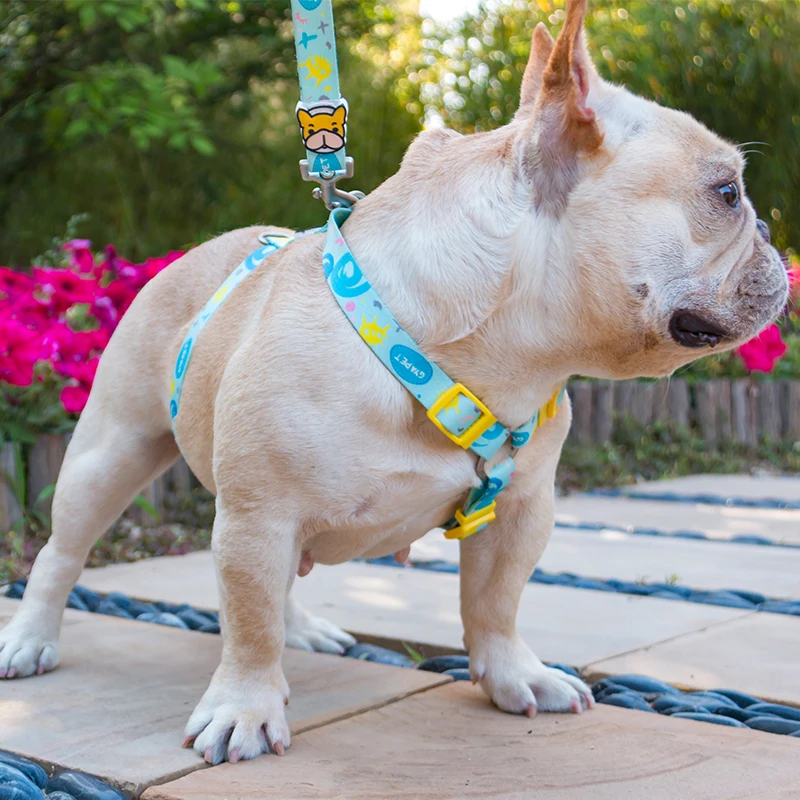 Conjunto de arnés y correa para perro, correa de plomo sin tirones para cachorros, Bulldog Francés, Chihuahua, Yorkies pequeños - imagen 5