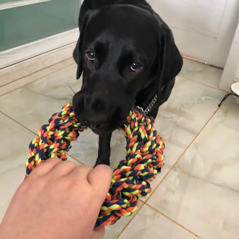 Juguete para perros grandes de 18CM de diámetro, cuerda redonda resistente a mordeduras, juguetes para masticar para mascotas para perros medianos y grandes, accesorios Golden Retriever Weimaraner - imagen 5