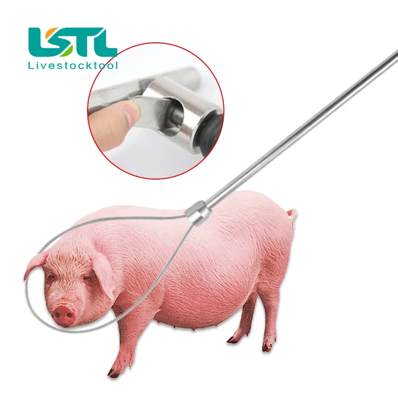 Poste receptor de cerdos de acero inoxidable, dispositivo de Baording, equipo fijo de cría de animales, equipo de cría de animales, D9 - imagen 2