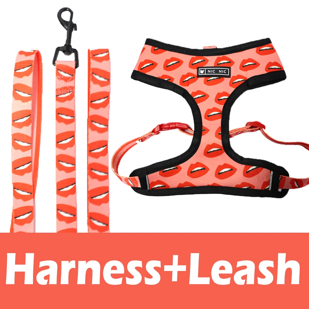 Red Harness Leash