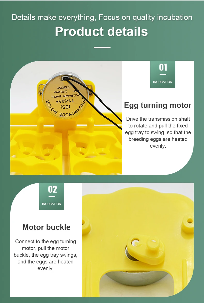 Incubadora de 24 huevos extraíble, bandeja de torneado automático, equipo de incubación de aves de corral, codorniz, pollos, pato - imagen 5