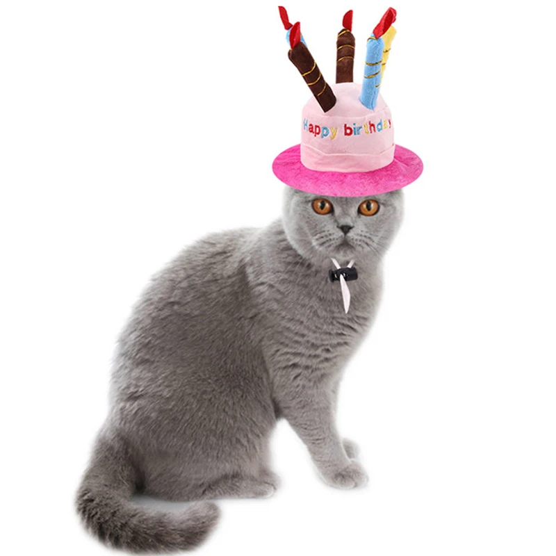 Sombrero de fiesta para mascotas - Cumpleaños XLeiPet - imagen 3