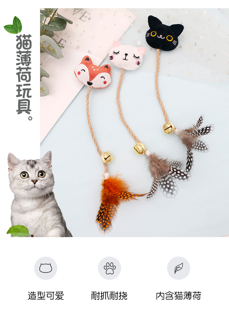 Campana Gatos - Demostración de uso