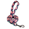 Pink Leash