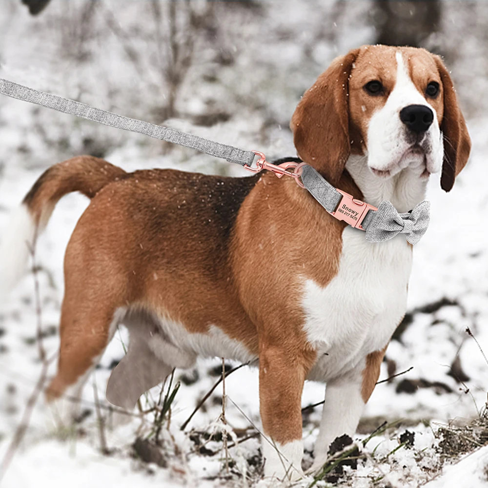 Sistema ajuste collar perro - Versatilidad máxima