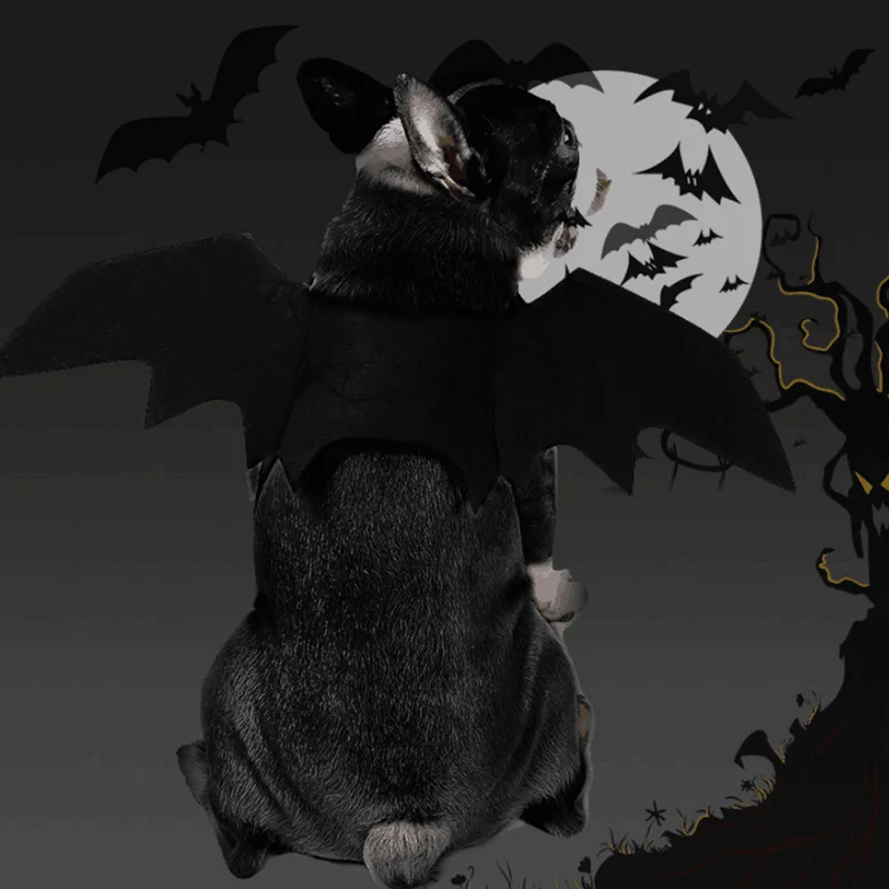 Disfraz de Halloween para perros, alas de murciélago para mascotas, disfraz de murciélago para perros y gatos, vestido con alas, accesorios para mascotas, disfraz de fiesta para mascotas, ala para cachorro - imagen 5