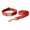Dog Collar Leash Set