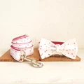 Bow Tie Collar Leash