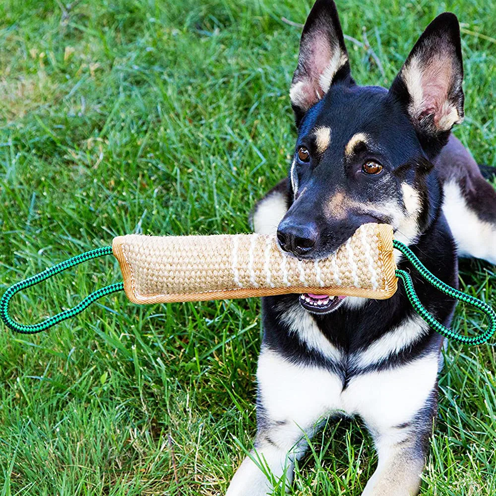 Juguete duradero de entrenamiento para perros, palo para morder para perros grandes, pastor alemán, suministros interactivos para mascotas al aire libre - imagen 4