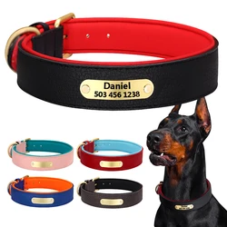 Collar de cuero acolchado con placa identificación para Pitbull