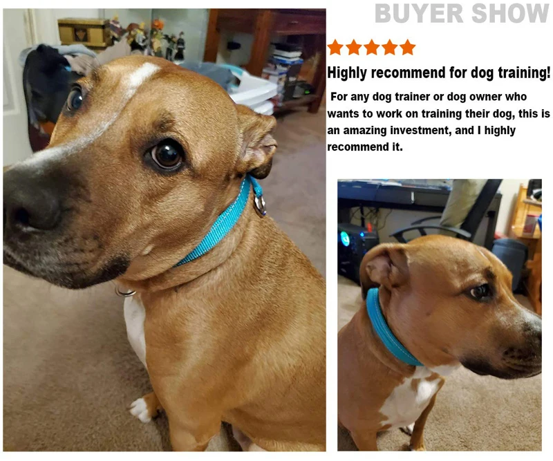 Benepaw-Collar de malla de nailon para perro P, accesorio transpirable, reflectante, suave y cómodo, acolchado, para entrenamiento de cachorros y mascotas, ajustable - imagen 2