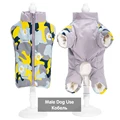 boy dog yellow camo