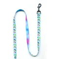 Blue Dog Leash