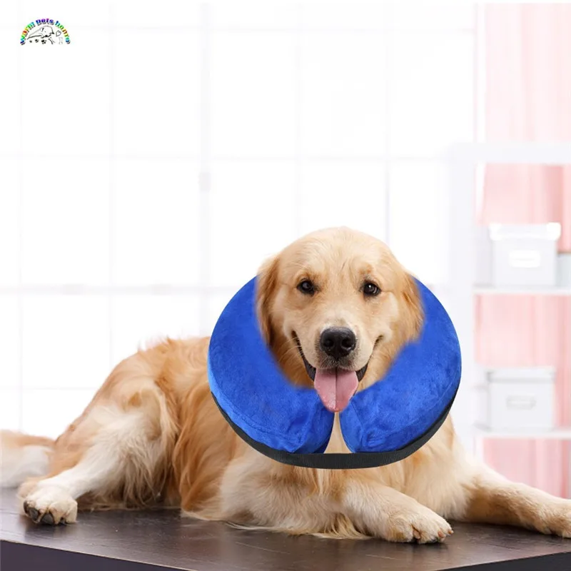 10 Uds. Collar inflable para perro, Collar electrónico isabelino suave, Collar de gato Buster, pantalla de lámpara para mascotas, plato de Radar, protector para perro - imagen 2