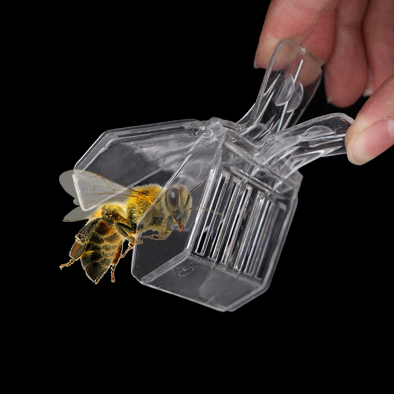 Jaulas para abejas reina, Clip para atrapar abejas, Clip de plástico transparente incoloro, herramienta para equipo de apicultura, sala de aislamiento, 2 uds. - imagen 2