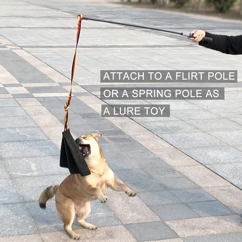 Benepaw-juguetes para masticar para perros, mango interactivo de cuero para entrenamiento de mascotas, construir presa, juego de agarre para morder, Tug Of War - imagen 3