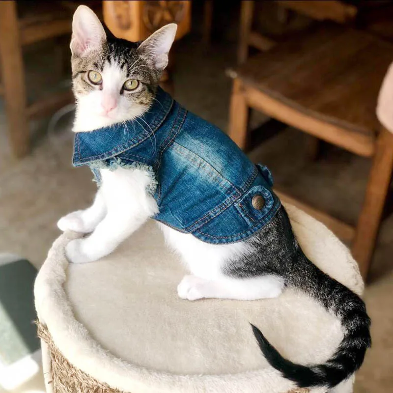 Chaleco vaquero para gatos a la moda, chaqueta para cachorros, abrigo vaquero informal, trajes, ropa para gatos de primavera y otoño para gatitos, ropa para gatos pequeños y medianos para mascotas - imagen 2