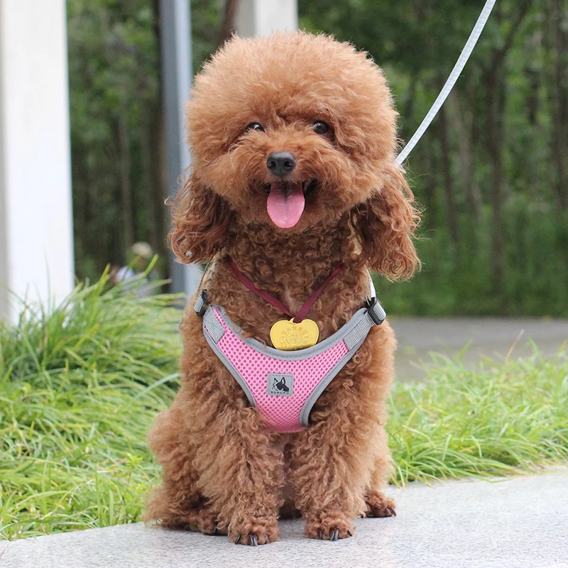 Arnés Reflectante de Malla XLeiPet - imagen 3