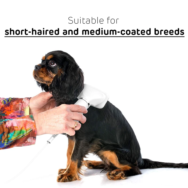 Benepaw-secador de pelo 2 en 1 para perros, cepillo rebanador, temperatura ajustable, bajo ruido, ajuste de pelo corto, medio recubierto, para mascotas y gatos - imagen 3