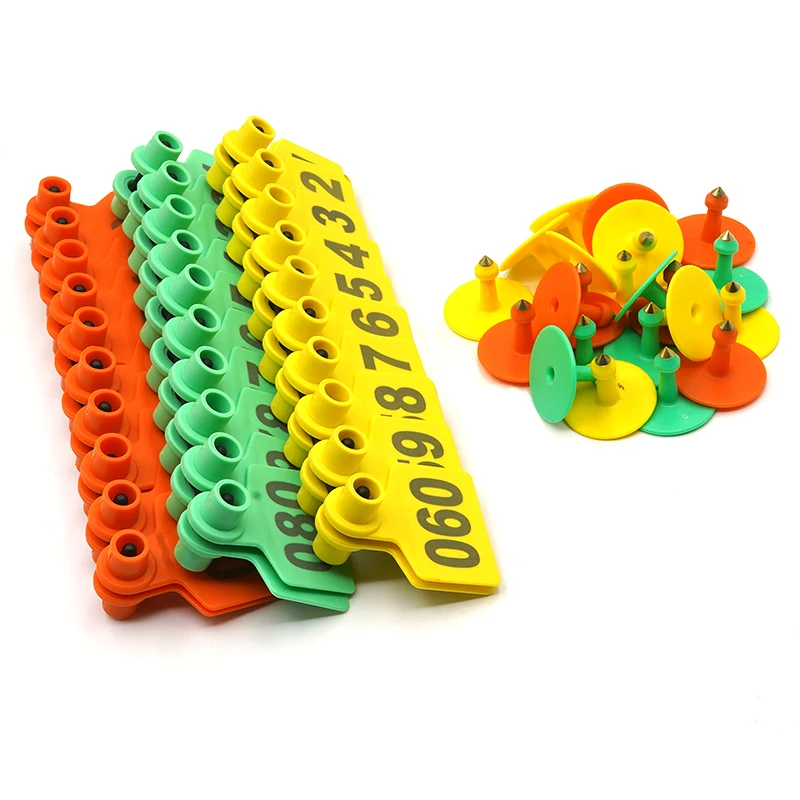 Proceso de aplicación en oreja