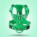 Green dog harness